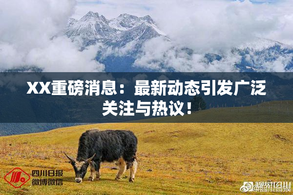 XX重磅消息：最新动态引发广泛关注与热议！