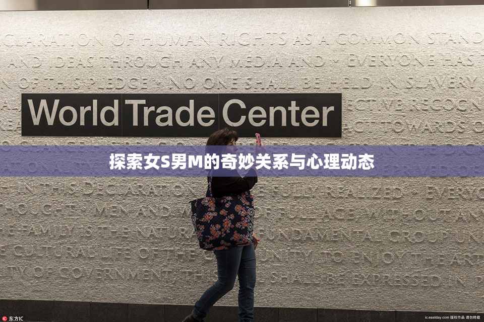 探索女S男M的奇妙关系与心理动态