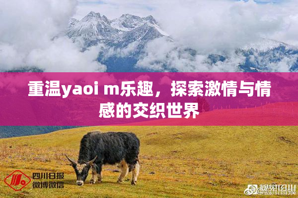重温yaoi m乐趣，探索激情与情感的交织世界