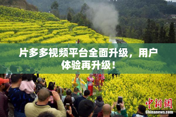 片多多视频平台全面升级，用户体验再升级！