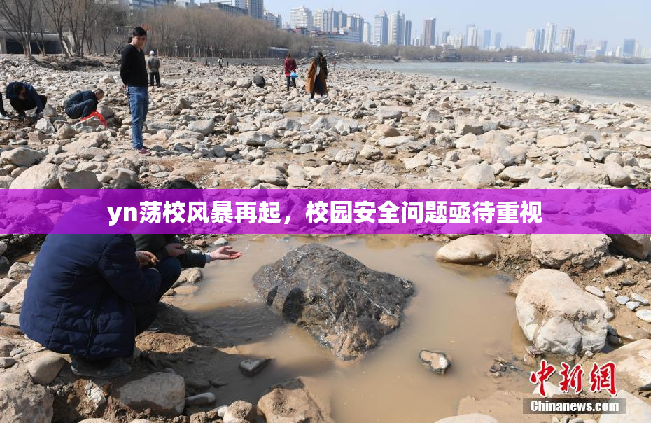 yn荡校风暴再起，校园安全问题亟待重视