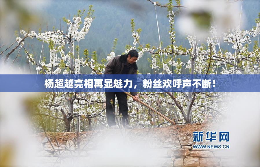 杨超越亮相再显魅力，粉丝欢呼声不断！