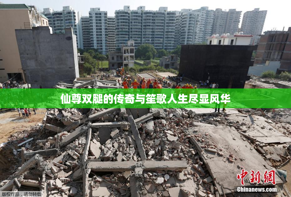 仙尊双腿的传奇与笙歌人生尽显风华