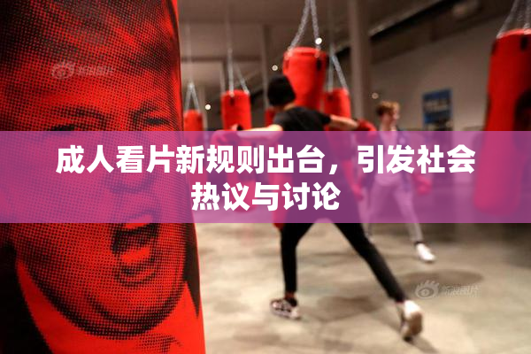 成人看片新规则出台，引发社会热议与讨论