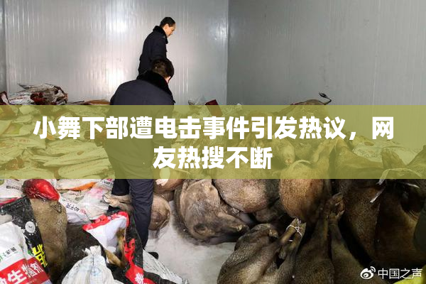 小舞下部遭电击事件引发热议，网友热搜不断
