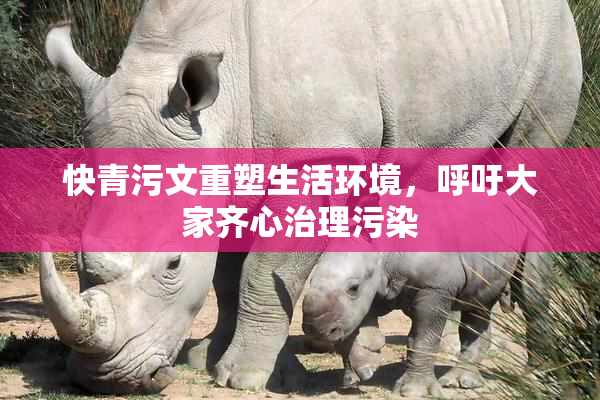 快青污文重塑生活环境，呼吁大家齐心治理污染