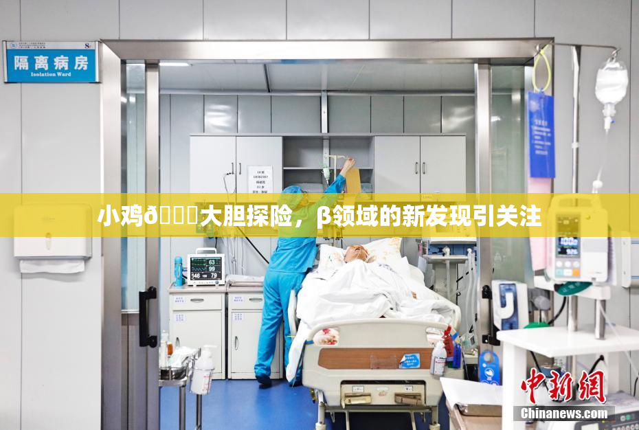 小鸡🐔大胆探险，β领域的新发现引关注