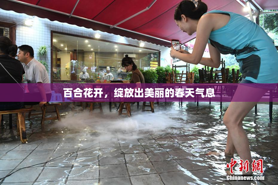 百合花开，绽放出美丽的春天气息
