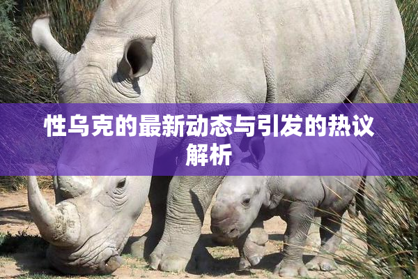 性乌克的最新动态与引发的热议解析