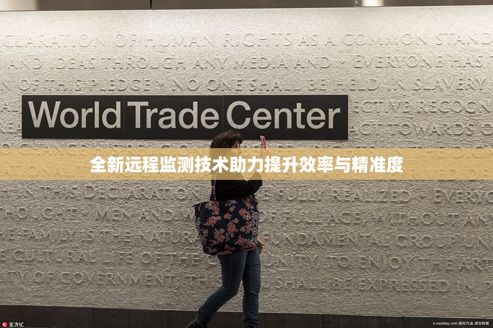 全新远程监测技术助力提升效率与精准度