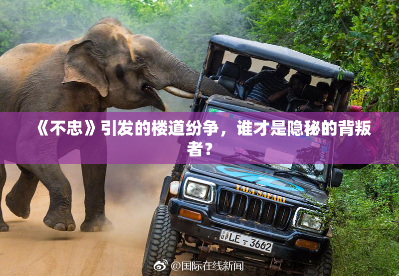 《不忠》引发的楼道纷争，谁才是隐秘的背叛者？