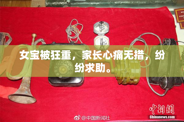 女宝被狂重，家长心痛无措，纷纷求助。
