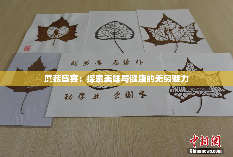 蘑菇盛宴：探索美味与健康的无穷魅力