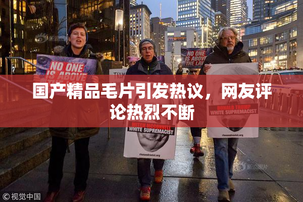 国产精品毛片引发热议，网友评论热烈不断