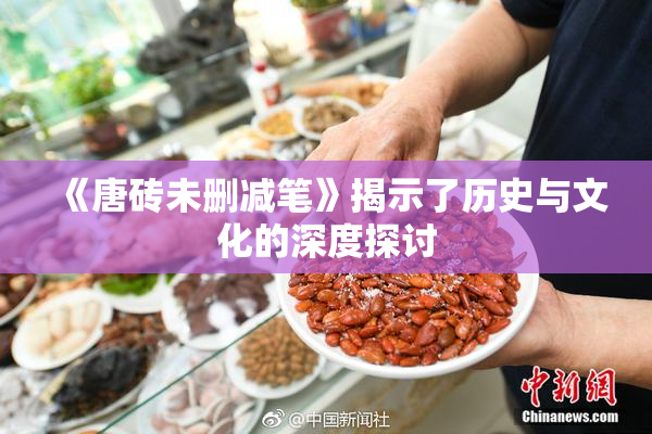 《唐砖未删减笔》揭示了历史与文化的深度探讨