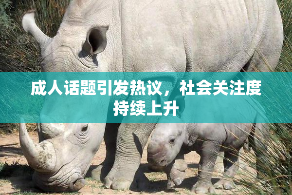 成人话题引发热议，社会关注度持续上升
