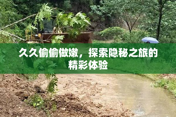 久久偷偷做嫩，探索隐秘之旅的精彩体验
