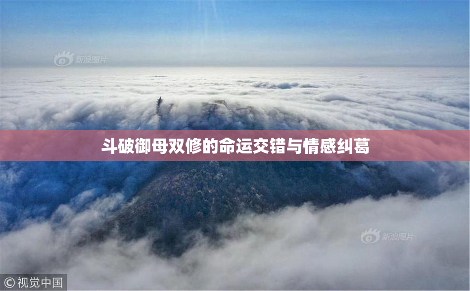 斗破御母双修的命运交错与情感纠葛