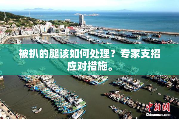 被扒的腿该如何处理？专家支招应对措施。