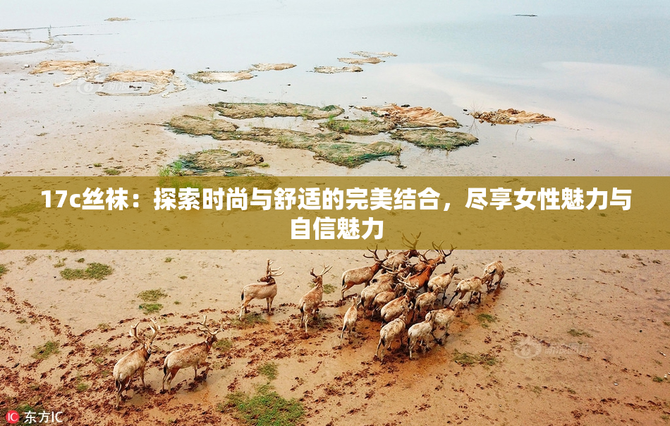 17c丝袜：探索时尚与舒适的完美结合，尽享女性魅力与自信魅力