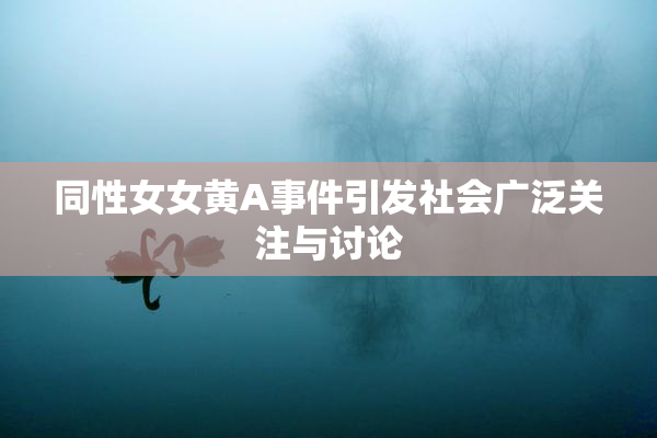 同性女女黄A事件引发社会广泛关注与讨论