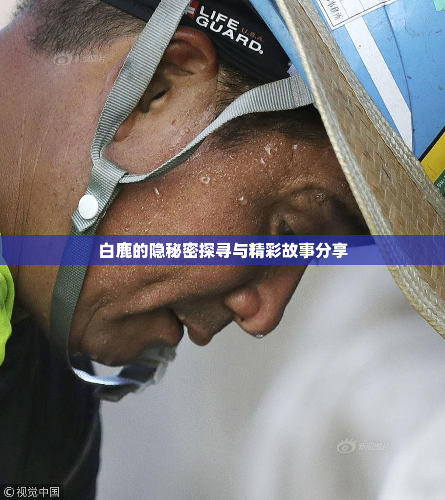 白鹿的隐秘密探寻与精彩故事分享