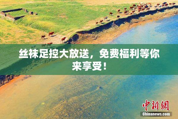 丝袜足控大放送，免费福利等你来享受！