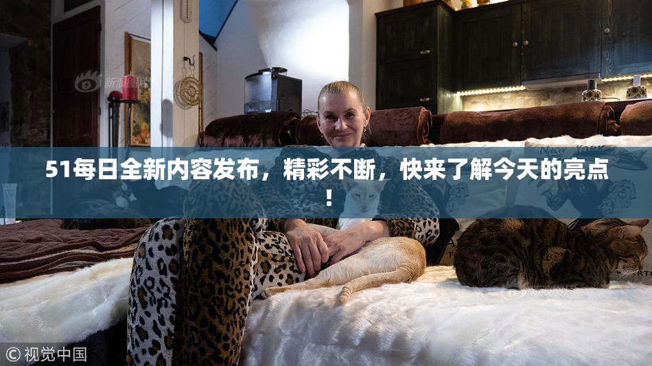 51每日全新内容发布，精彩不断，快来了解今天的亮点！