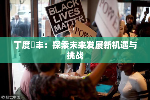 丁度巜丰：探索未来发展新机遇与挑战
