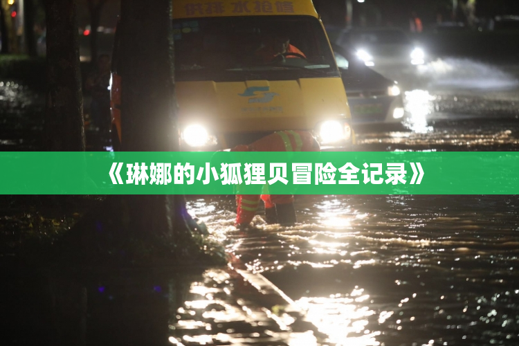 《琳娜的小狐狸贝冒险全记录》