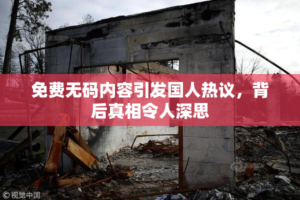 免费无码内容引发国人热议，背后真相令人深思