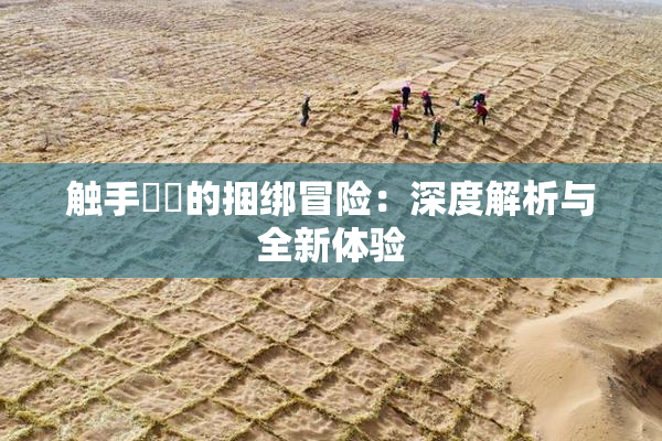 触手❌‌的捆绑冒险：深度解析与全新体验