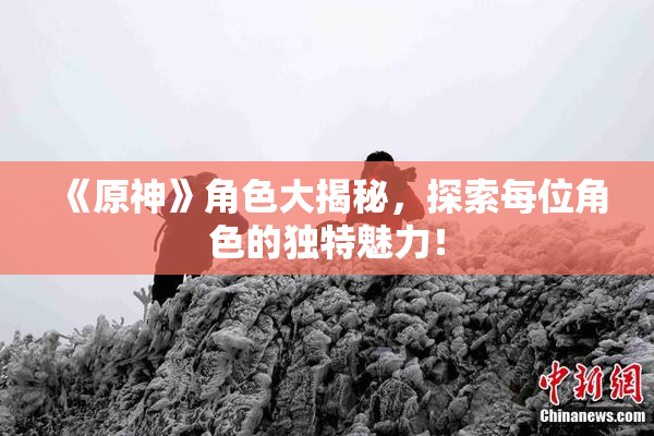 《原神》角色大揭秘，探索每位角色的独特魅力！