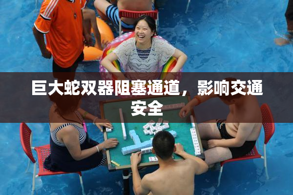 巨大蛇双器阻塞通道，影响交通安全