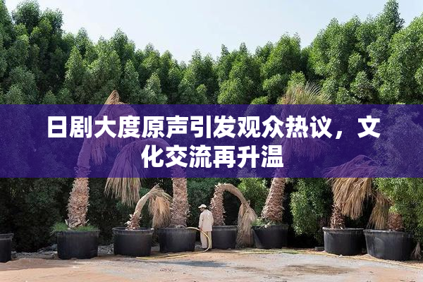 日剧大度原声引发观众热议，文化交流再升温