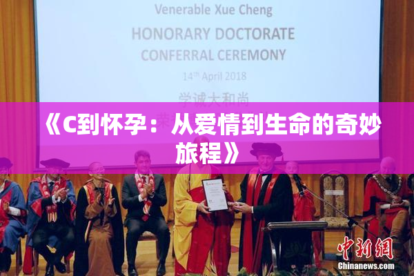 《C到怀孕：从爱情到生命的奇妙旅程》