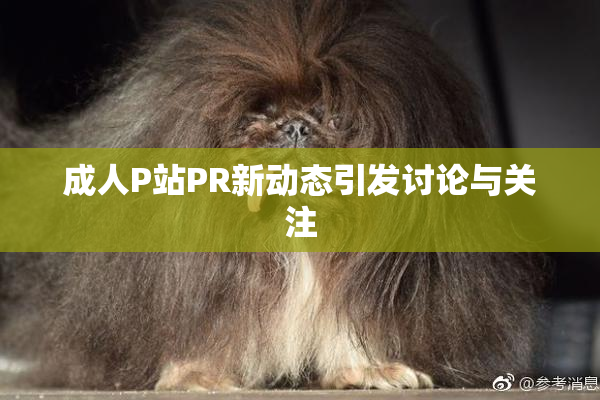 成人P站PR新动态引发讨论与关注