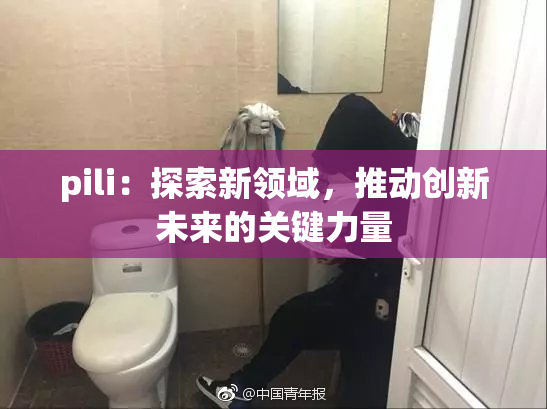 pili：探索新领域，推动创新未来的关键力量