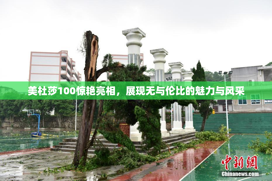 美杜莎100惊艳亮相，展现无与伦比的魅力与风采