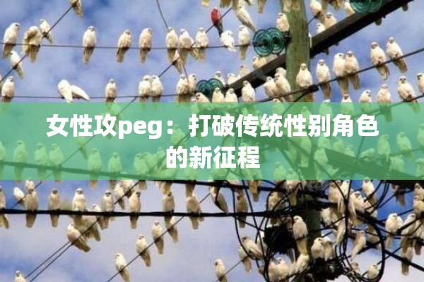 女性攻peg：打破传统性别角色的新征程