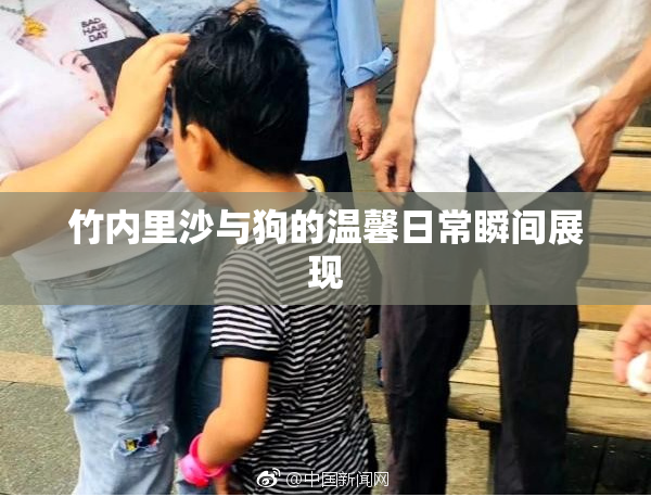 竹内里沙与狗的温馨日常瞬间展现