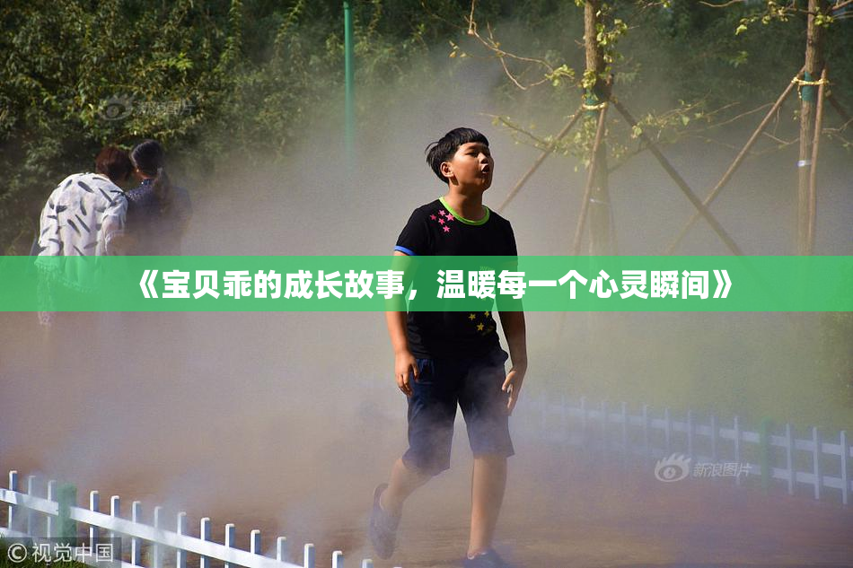 《宝贝乖的成长故事，温暖每一个心灵瞬间》