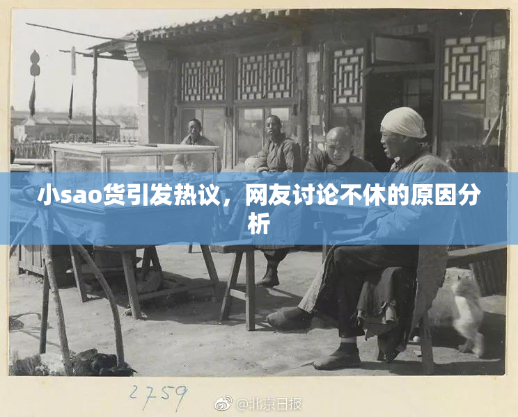 小sao货引发热议，网友讨论不休的原因分析
