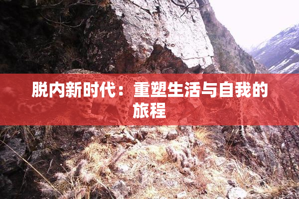 脱内新时代：重塑生活与自我的旅程