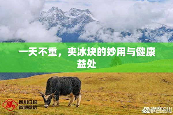 一天不重，夹冰块的妙用与健康益处