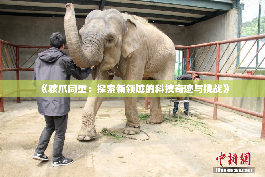 《骇爪同重：探索新领域的科技奇迹与挑战》