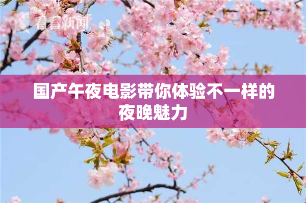 国产午夜电影带你体验不一样的夜晚魅力