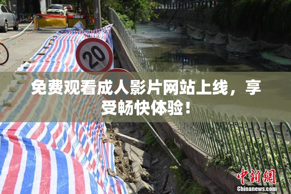 免费观看成人影片网站上线，享受畅快体验！