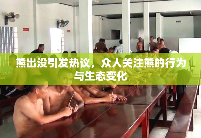 熊出没引发热议，众人关注熊的行为与生态变化