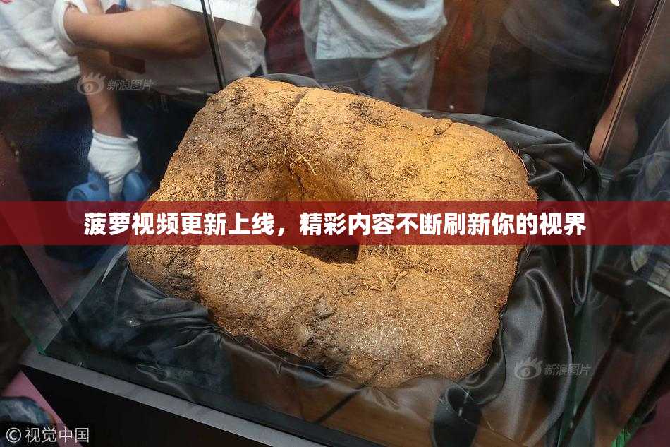 菠萝视频更新上线，精彩内容不断刷新你的视界